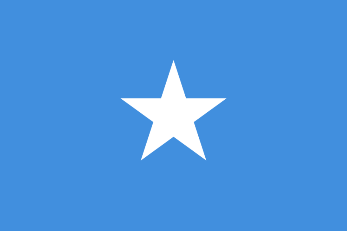 National Animal Of Somalia